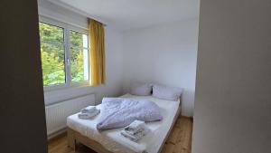 Sunset View Apartment Bregenz Bodensee