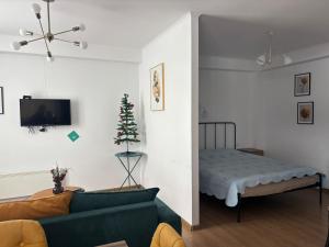 ApartHotel Art Bakuriani room 201