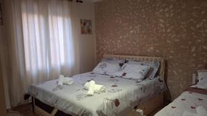 City Home Apartament-Tirana
