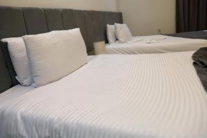 New Scarab Pyramids View