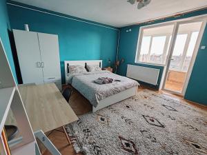 Boias place - skyline Timisoara