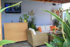 Shine Studios Lesvos Greece