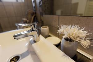 Fekete Virág vendégház