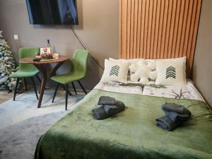 Mountain studio ASP E63 Borovets Gardens