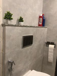 Mountain Bliss 2BHK Serene Views & Cozy Comfort