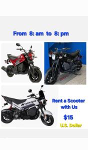 Accommodation and 7 Waterfalls Tour