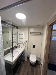 Bakuriani Orbi palace deluxe Apt 564 with kitchen