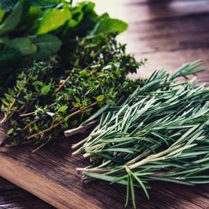 Casa Juvenil y central