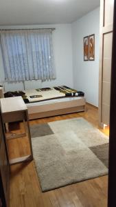 Apartment in the centre for rent