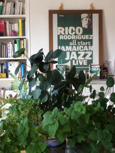 Montmartre romantic room