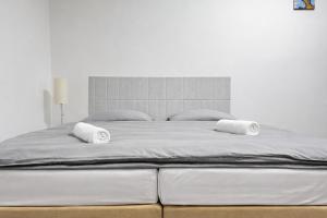 Symbiola Automat Apartments