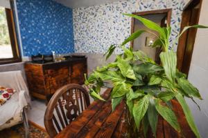 Casa da Índia - Pousada Jussara