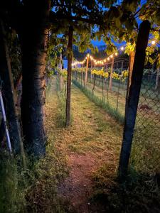 Wine & Relax Mezi Sklepy