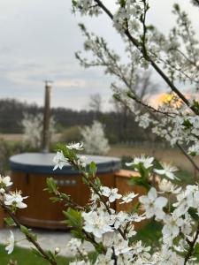 Wine & Relax Mezi Sklepy