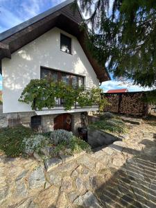 Wine & Relax Mezi Sklepy