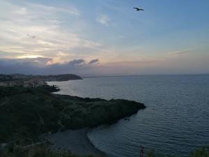 Petit nid très calme