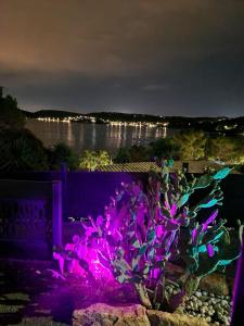 Love room Home Paradise