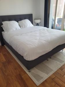 Rooftop apartment Cannes center - Parking