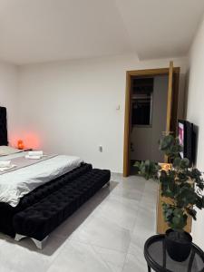 Apartman 22