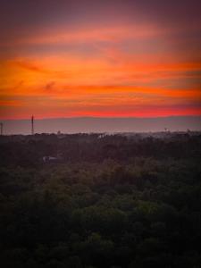 AquaHorizon Woodland SunsetView Art Condominium