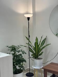 AT Alibaug - A Boho Boutique Stay