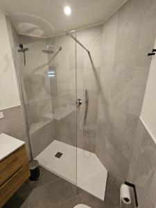 Thea Apartment Ski in & Ski out CIR 0942