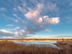 Family-Friendly Guesthouse in the Oderbruch