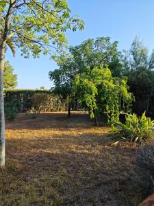 Beautiful home with spacious land in San Vicente