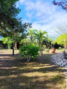 Beautiful home with spacious land in San Vicente