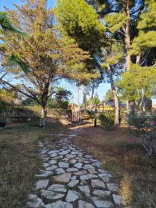 Beautiful home with spacious land in San Vicente