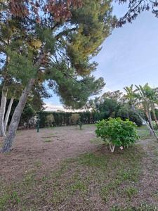 Beautiful home with spacious land in San Vicente