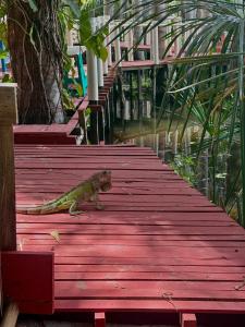 Pousada Vale dos Buritis