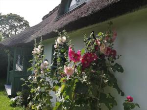 4020-Stege-Udbyvej-10