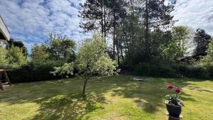 8171-Praesto-Solsortvej-11