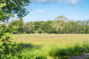 3046-Stege-Paelen-46