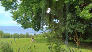 Casa Club de campo los riscos en Pucon