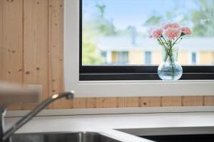 OH419-Hadsund-Halvrebene-60