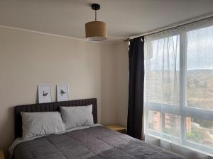 Apartment fully equipped parking Viña del mar