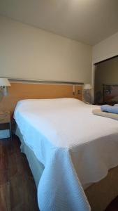 Departamento Altos Mendoza Presidente Mitre