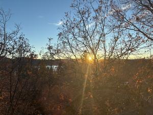 Lakeview Mountain Modern