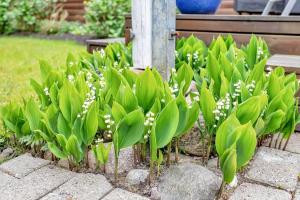 FJ1009-Jaegerspris-Tornvig-Olsens-Vej-8-B