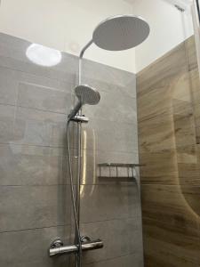 Private Riverside Apartment Brno