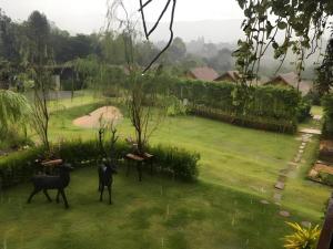 Baansuanpai Noppakao