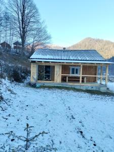 Будинок в Карпатах