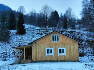 Будинок в Карпатах
