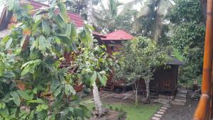 Jungle Lodge Medewi Bali