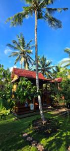 Jungle Lodge Medewi Bali