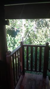 Jungle Lodge Medewi Bali