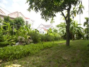 Joy Hoi An Homestay