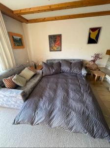 Cozy Apartment in Falera with view & ski access